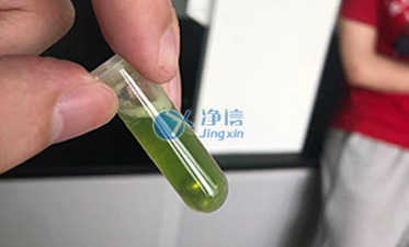 多樣品組織研磨機(jī)對水稻葉子研磨實驗步驟|紹興文理學(xué)院