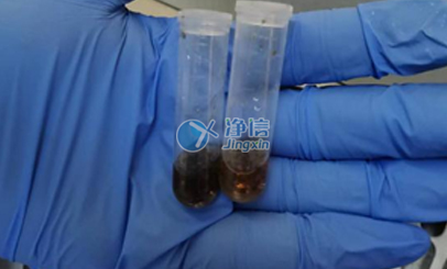 上海凈信高通量研磨儀能否助力蟲媒病毒研究實驗？