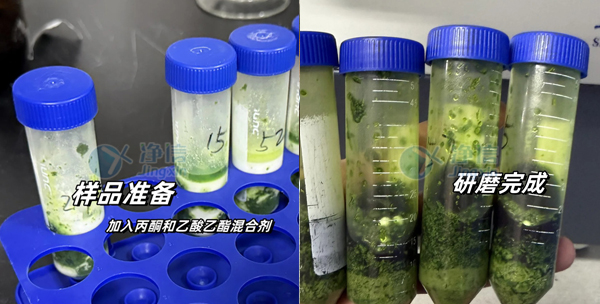 農(nóng)產(chǎn)品 實驗案例底圖.jpg