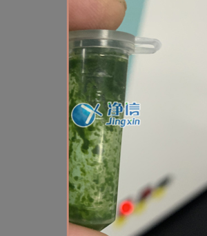 冷凍研磨儀在對(duì)甘蔗葉片提取DNA實(shí)驗(yàn)中研磨樣本效果如何？